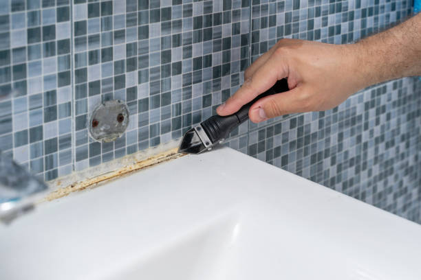 Best Mold Removal Specialists  in Geneva, FL